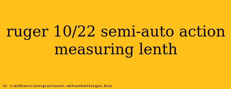 ruger 10/22 semi-auto action measuring lenth