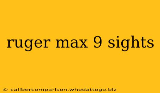 ruger max 9 sights