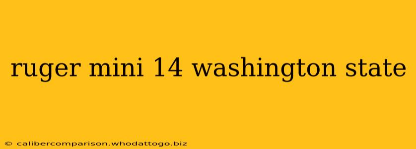 ruger mini 14 washington state