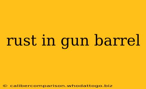 rust in gun barrel