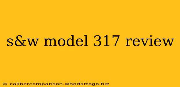 s&w model 317 review