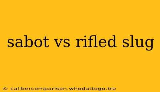 sabot vs rifled slug