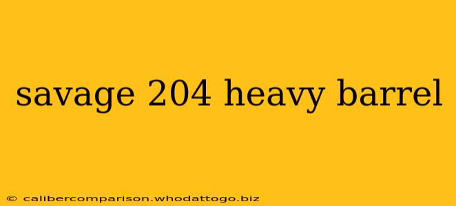 savage 204 heavy barrel