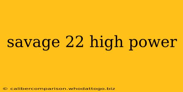 savage 22 high power