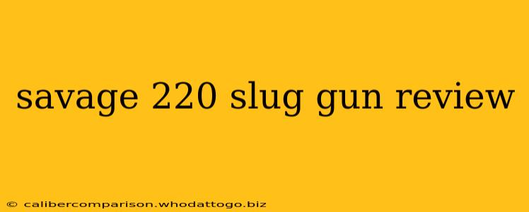 savage 220 slug gun review