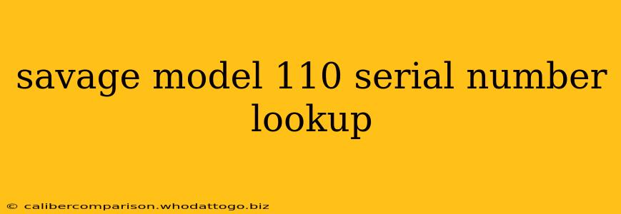 savage model 110 serial number lookup