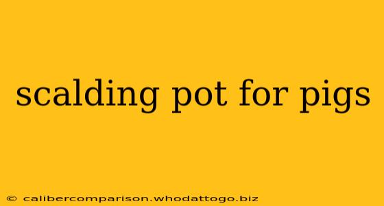 scalding pot for pigs