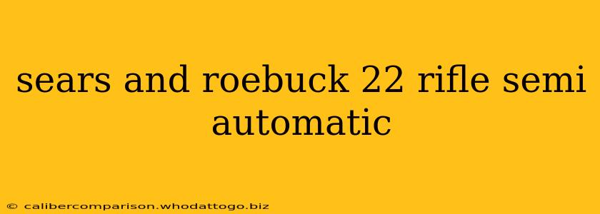 sears and roebuck 22 rifle semi automatic