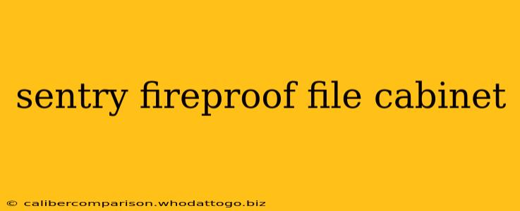 sentry fireproof file cabinet