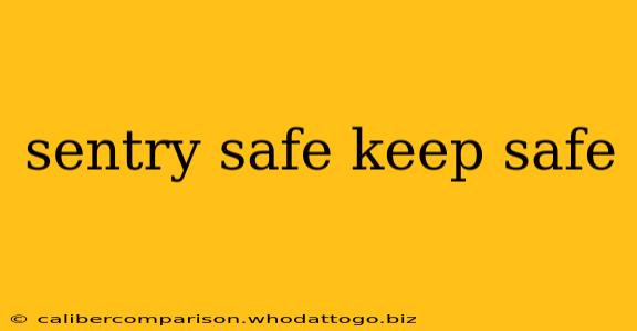 sentry safe keep safe