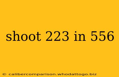 shoot 223 in 556