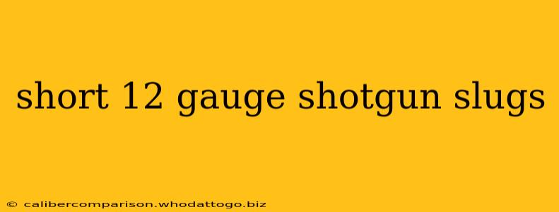 short 12 gauge shotgun slugs