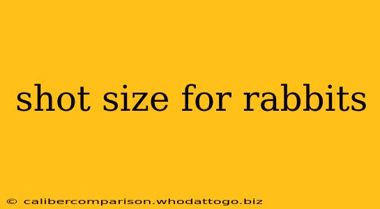 shot size for rabbits