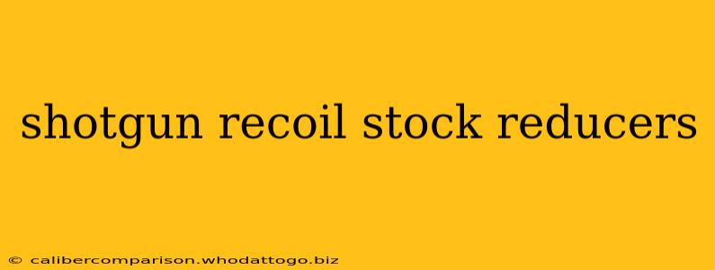 shotgun recoil stock reducers