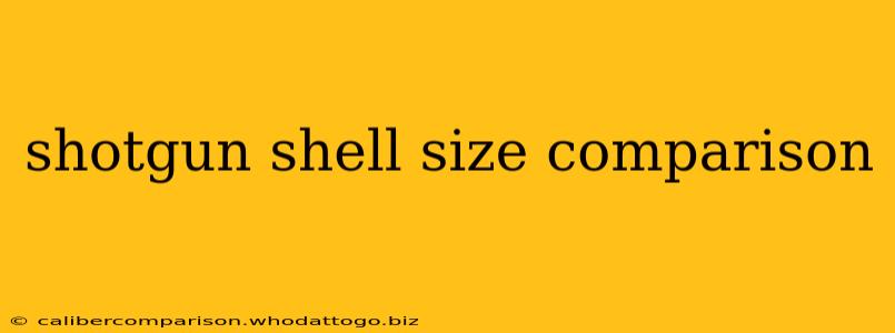 shotgun shell size comparison