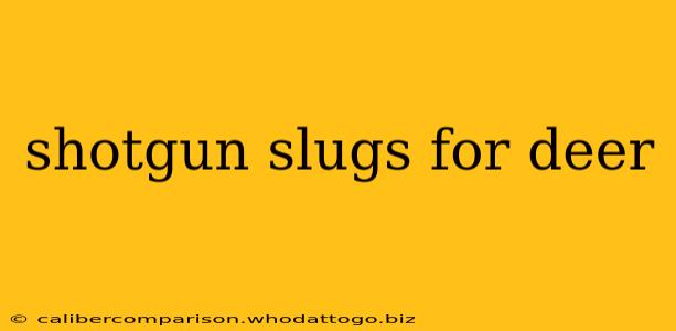 shotgun slugs for deer