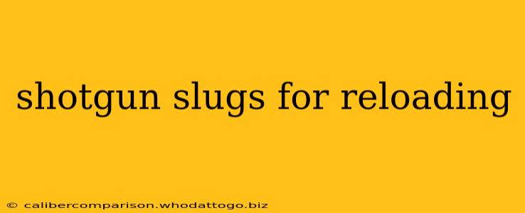 shotgun slugs for reloading