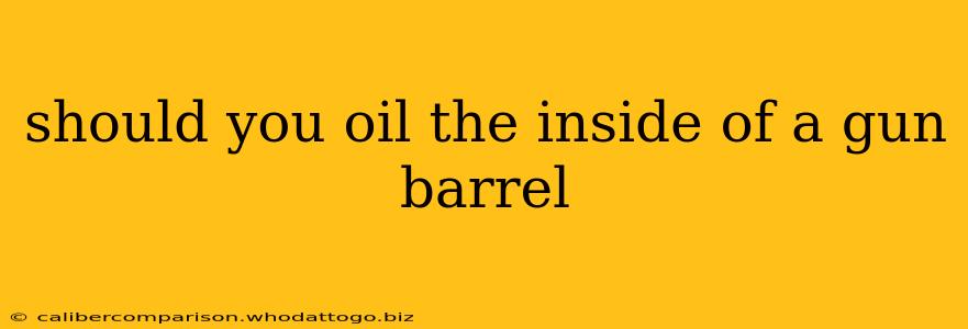 should you oil the inside of a gun barrel