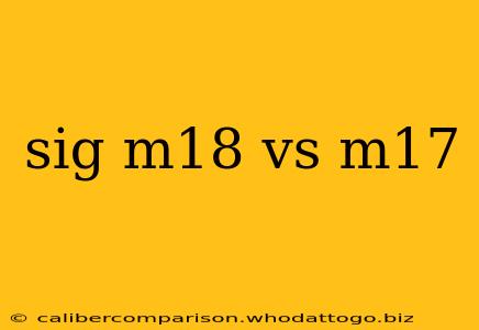 sig m18 vs m17