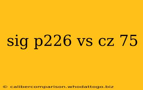 sig p226 vs cz 75