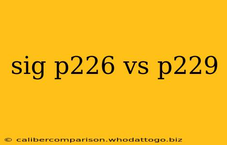 sig p226 vs p229