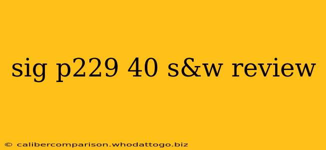 sig p229 40 s&w review