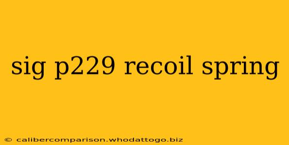 sig p229 recoil spring