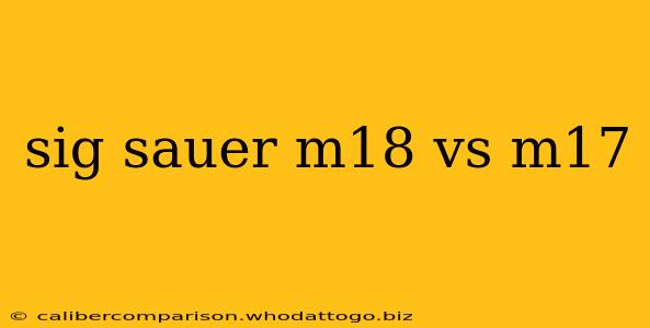 sig sauer m18 vs m17