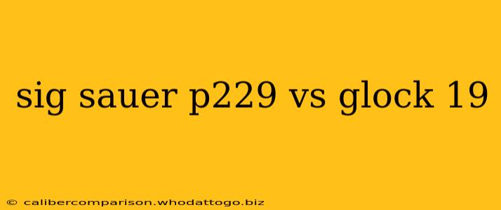 sig sauer p229 vs glock 19