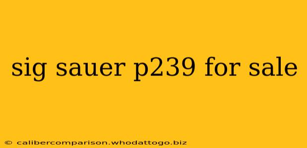 sig sauer p239 for sale