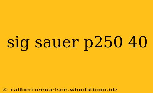 sig sauer p250 40