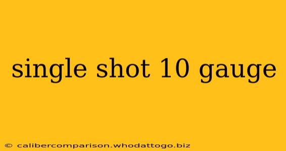 single shot 10 gauge