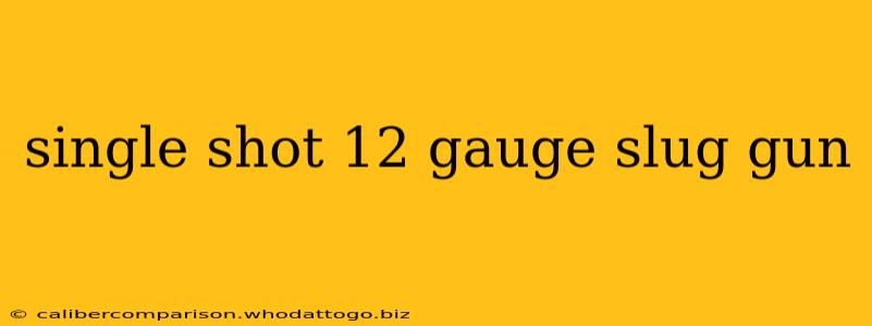 single shot 12 gauge slug gun