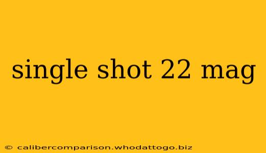 single shot 22 mag