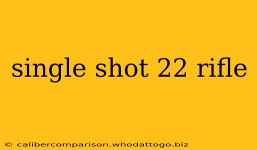 single shot 22 rifle