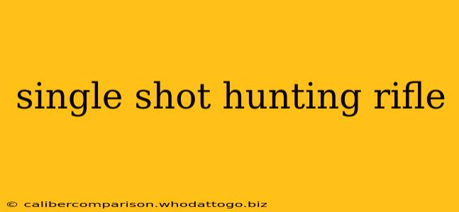 single shot hunting rifle