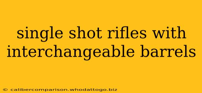 single shot rifles with interchangeable barrels