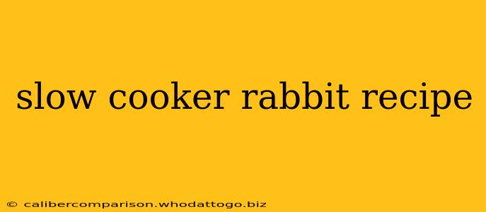 slow cooker rabbit recipe