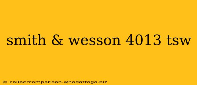 smith & wesson 4013 tsw