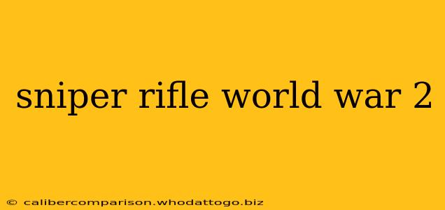 sniper rifle world war 2