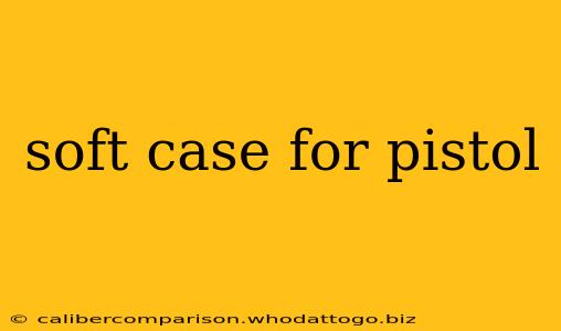 soft case for pistol