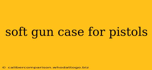 soft gun case for pistols