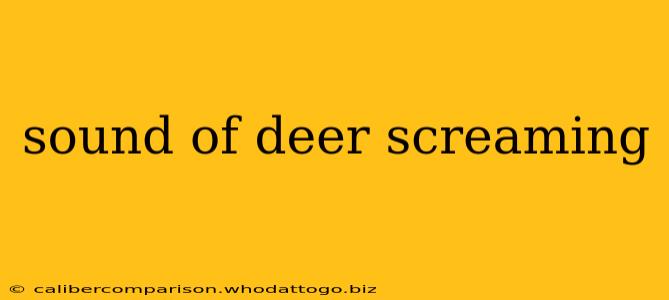 sound of deer screaming