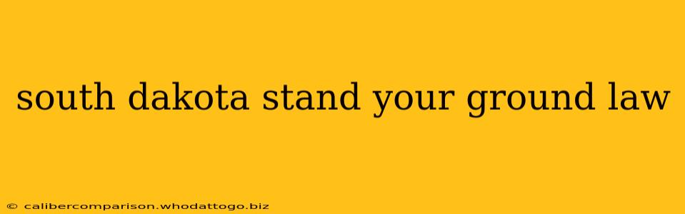 south dakota stand your ground law