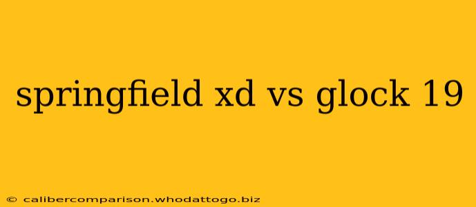 springfield xd vs glock 19