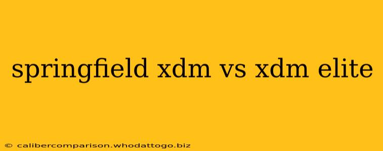 springfield xdm vs xdm elite