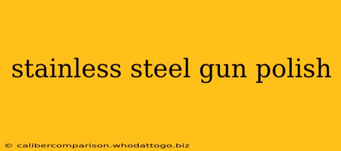 stainless steel gun polish