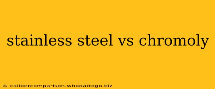 stainless steel vs chromoly