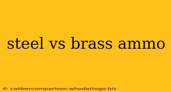 steel vs brass ammo