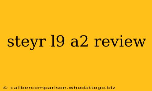 steyr l9 a2 review